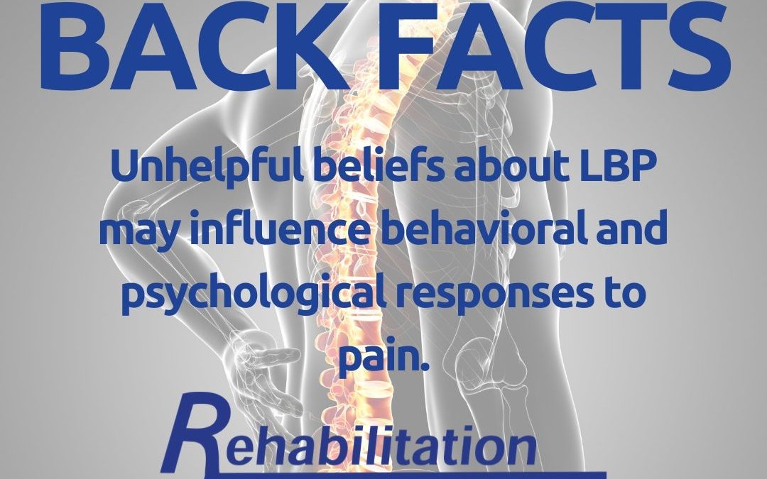 Lower Back Facts from Rehab Associates!