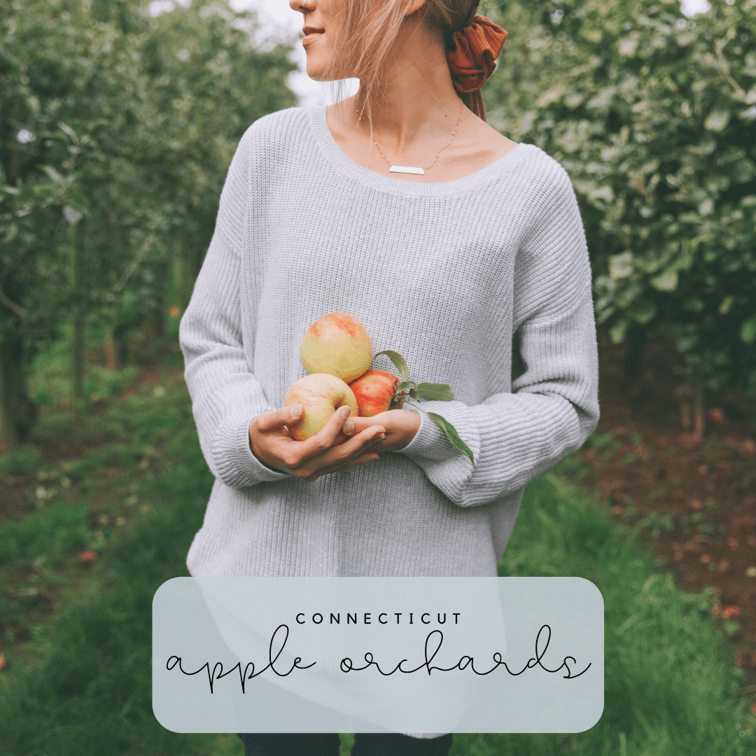 Apple Picking Season in Connecticut! FairfieldMoms