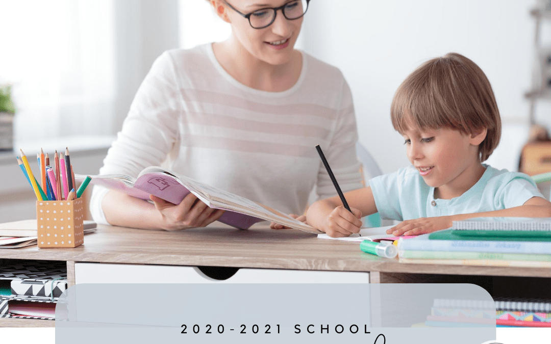 2020-2021 School Tutor Guide