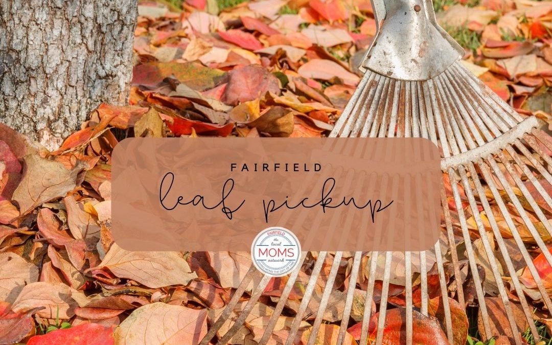 Leaf Pickup in Town!