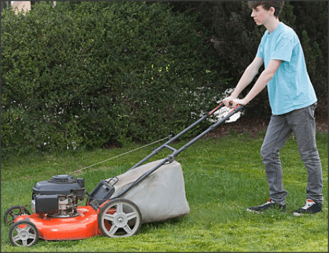 The Importance of Chores