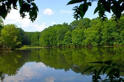 Do you have a Westchester Park Pass ?