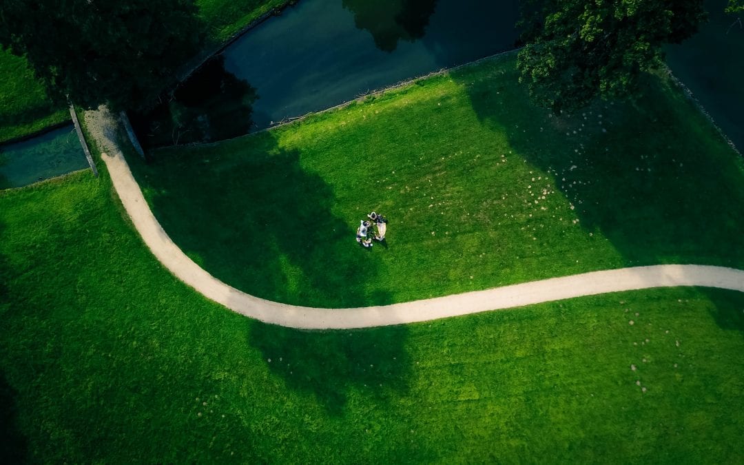 Summer Lawn Care Tips