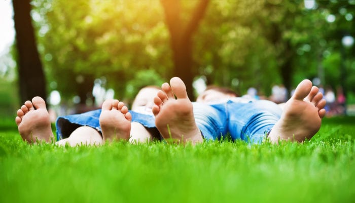 5 Tips for a Greener, More Sustainable Lawn