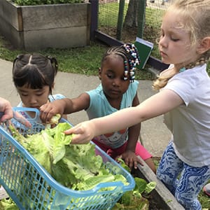 Farmers and Friends Family Picnic July 14th @ Stepping Stones Museum for Children