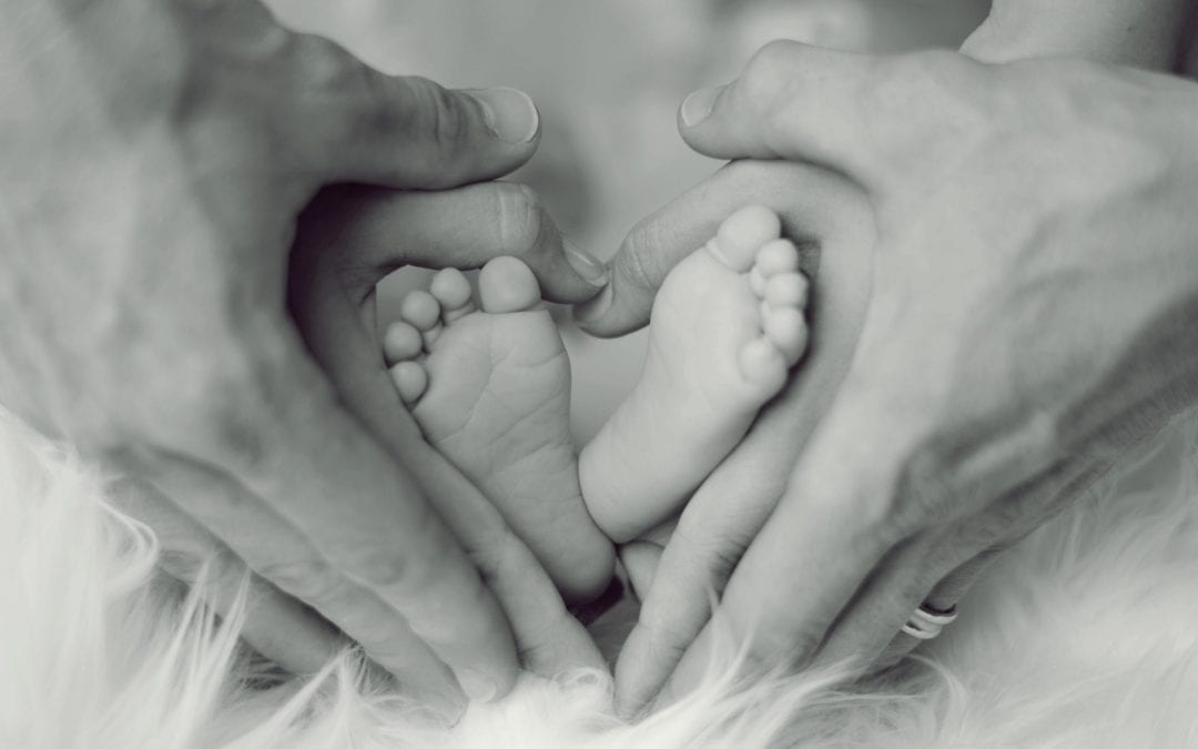Charities That Help Families: Giving Back This Holiday Season