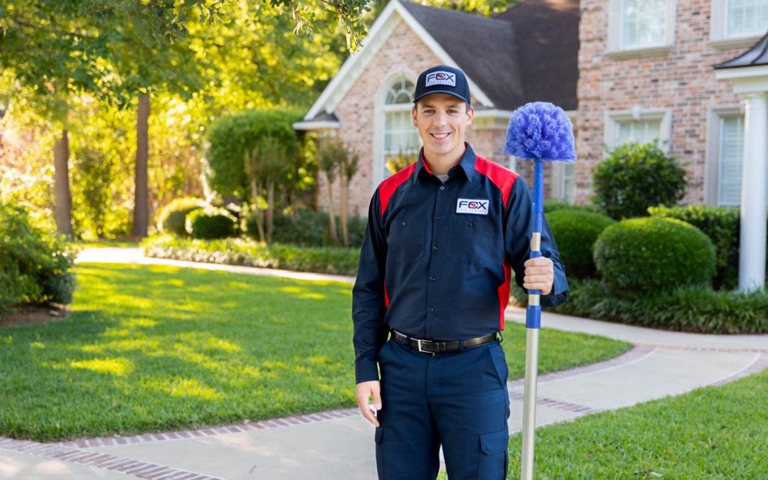 Fox Pest Control: For A Happier Summer at Home!