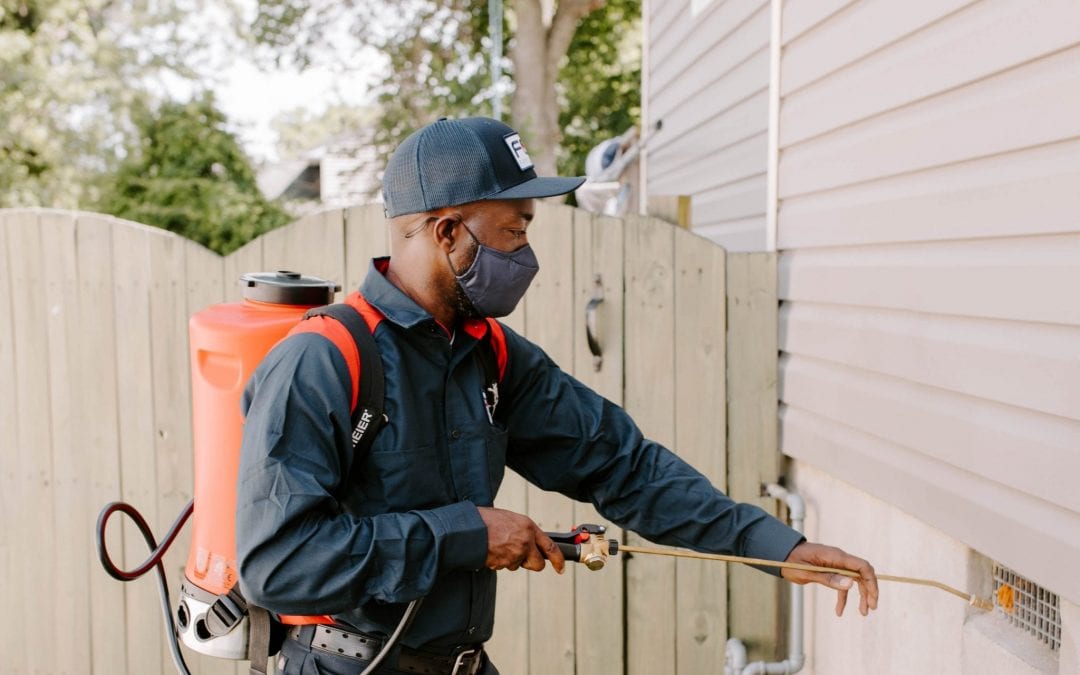 Why We Love Fox Pest Control!