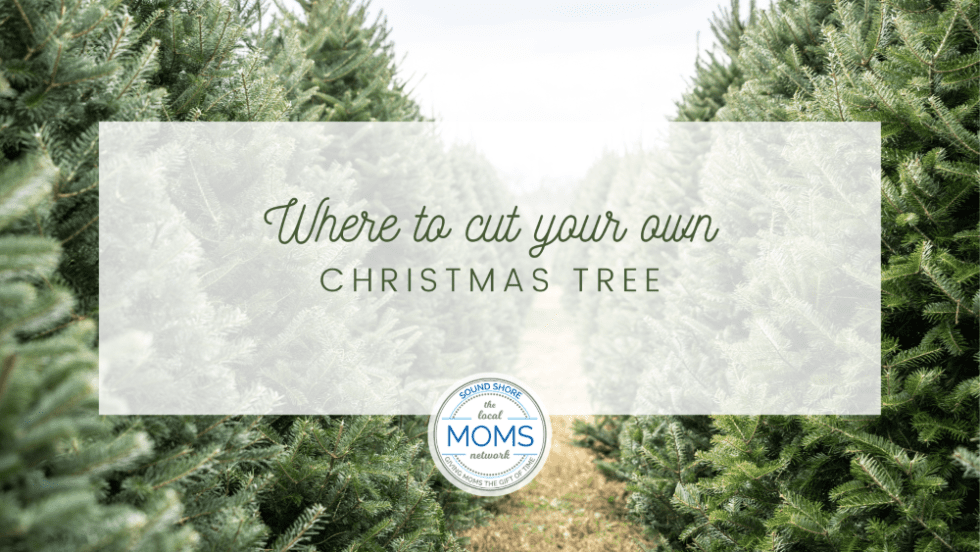Where to Cut Your Own Christmas Tree 2023 - Sound Shore Moms of Westchester
