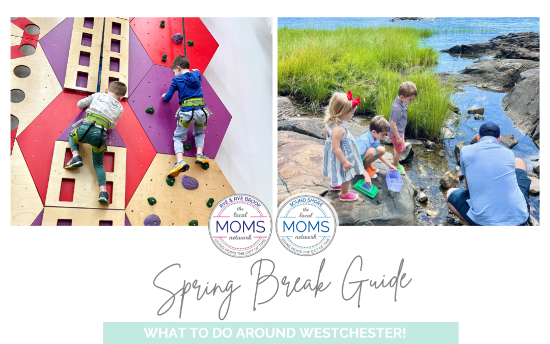Spring Break Guide