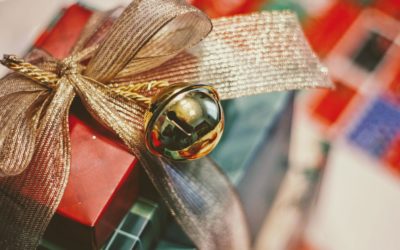 The Extraordinary Holiday Gift Guide!