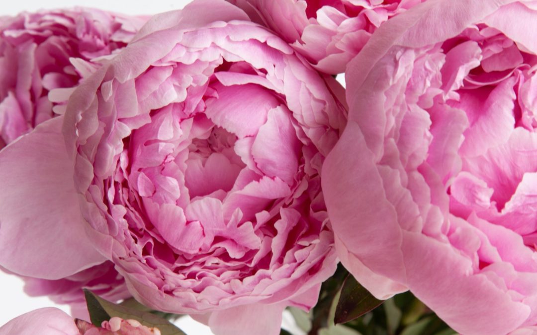 The 2020 Mother’s Day Gift Guide