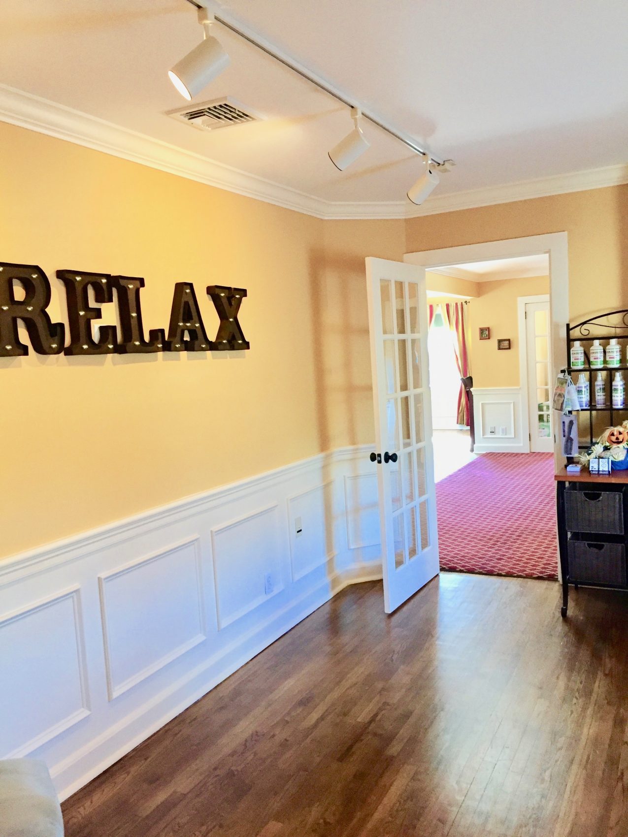 Interview with LiceOut911: An Incredible Lice Treatment Lounge in Bedford Hills