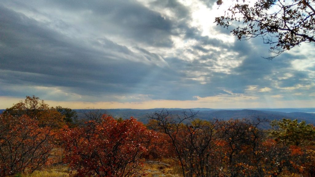 Gorgeous Turkey Mountain in Westchester
