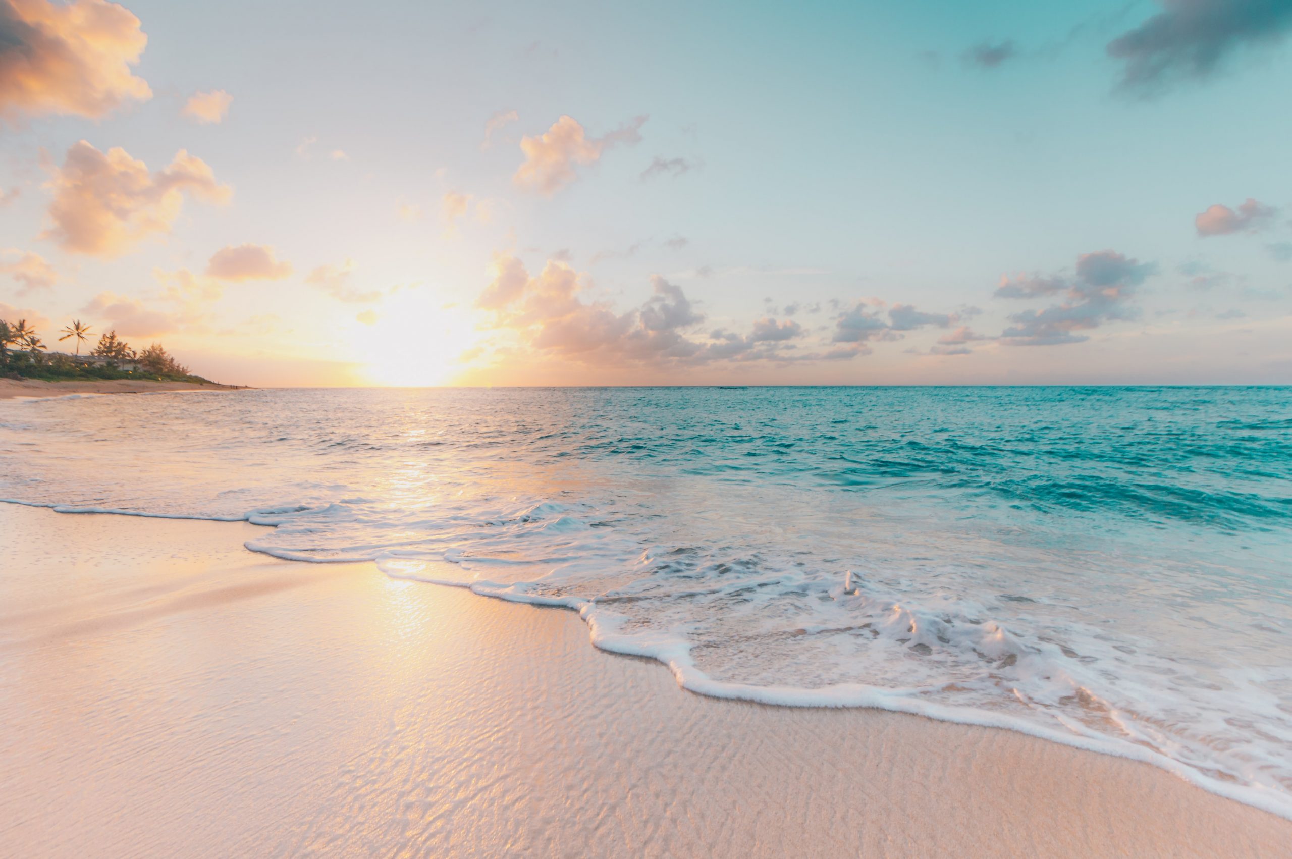 Celebrate World Oceans Month with Your Kids