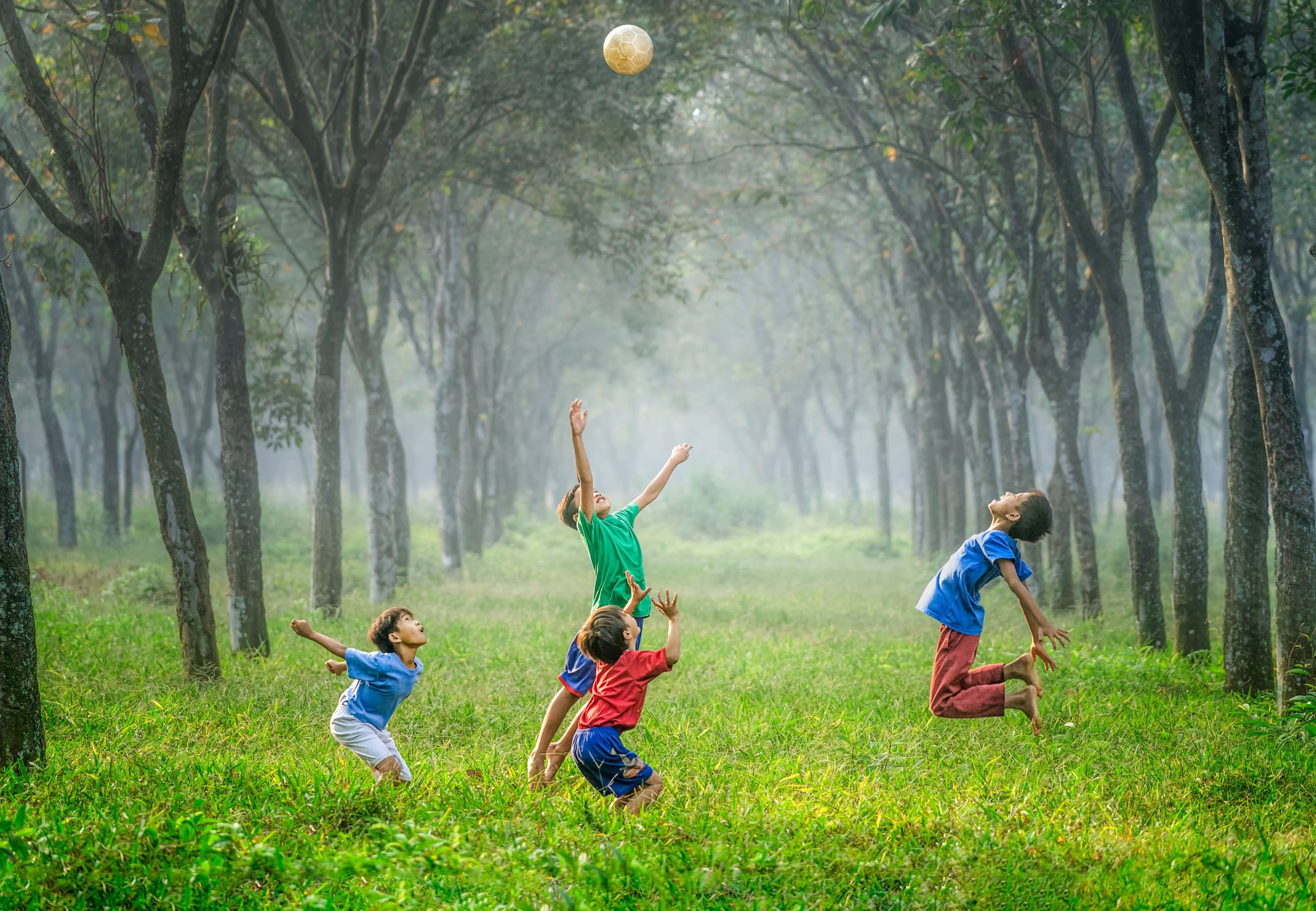 Westchester County Parks’ Outdoor Summer Camps Will Open July 6