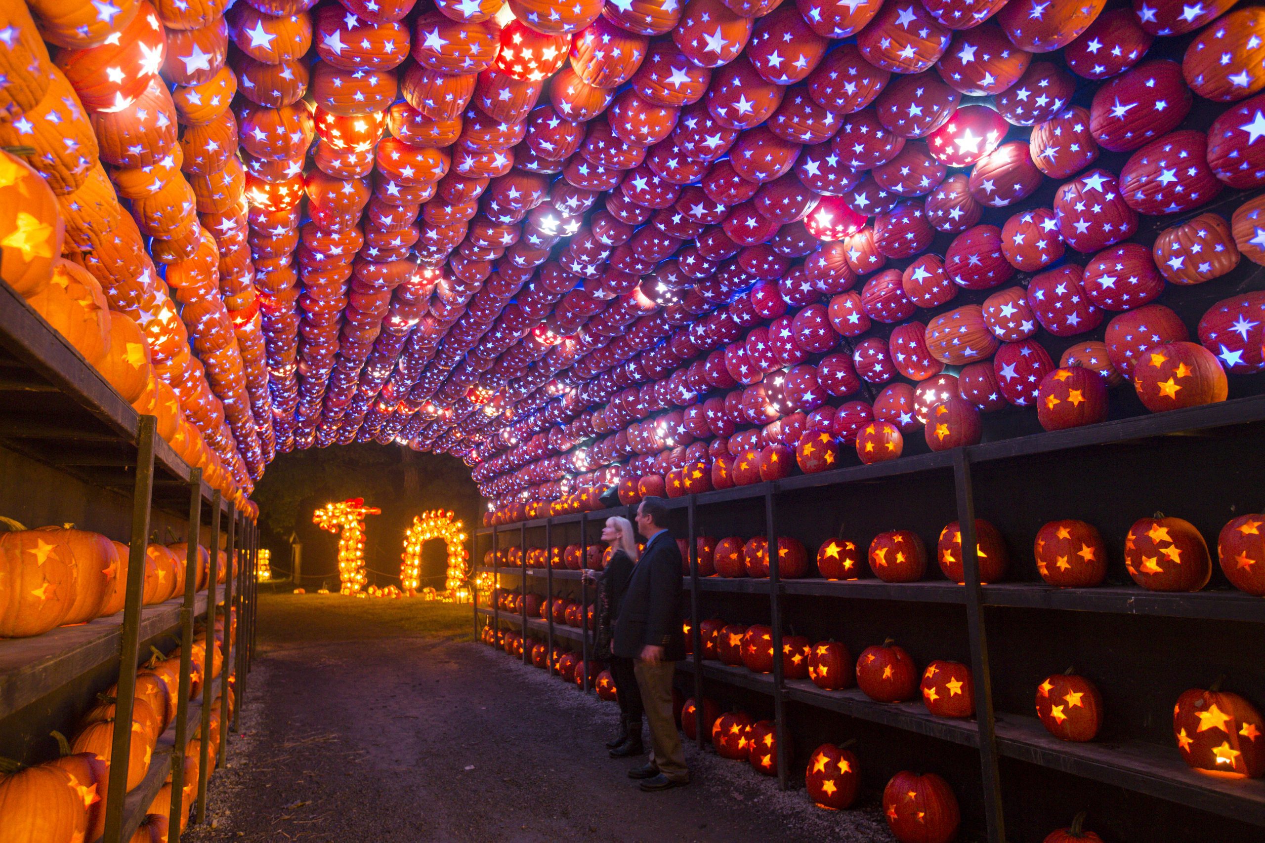 Family Fun at The Great Pumpkin Blaze