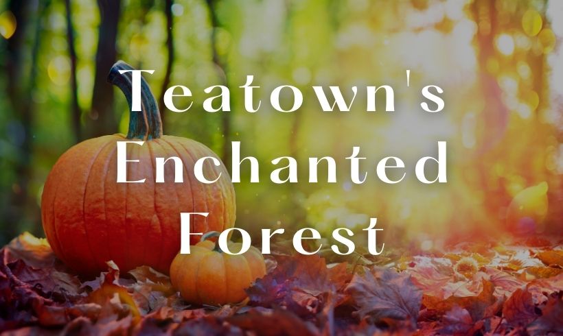 Teatown’s Enchanted Forest