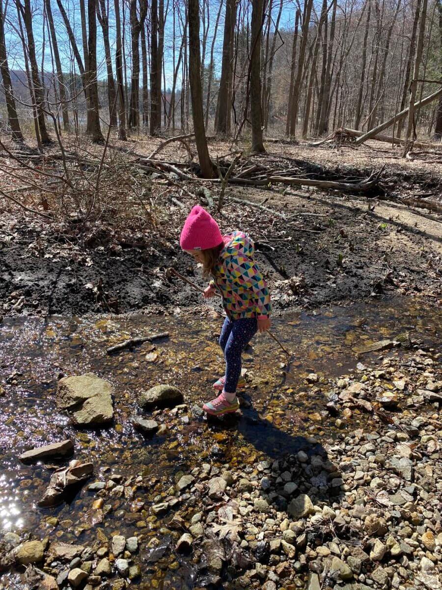 Westchester County Parks Taking Picnic Reservations