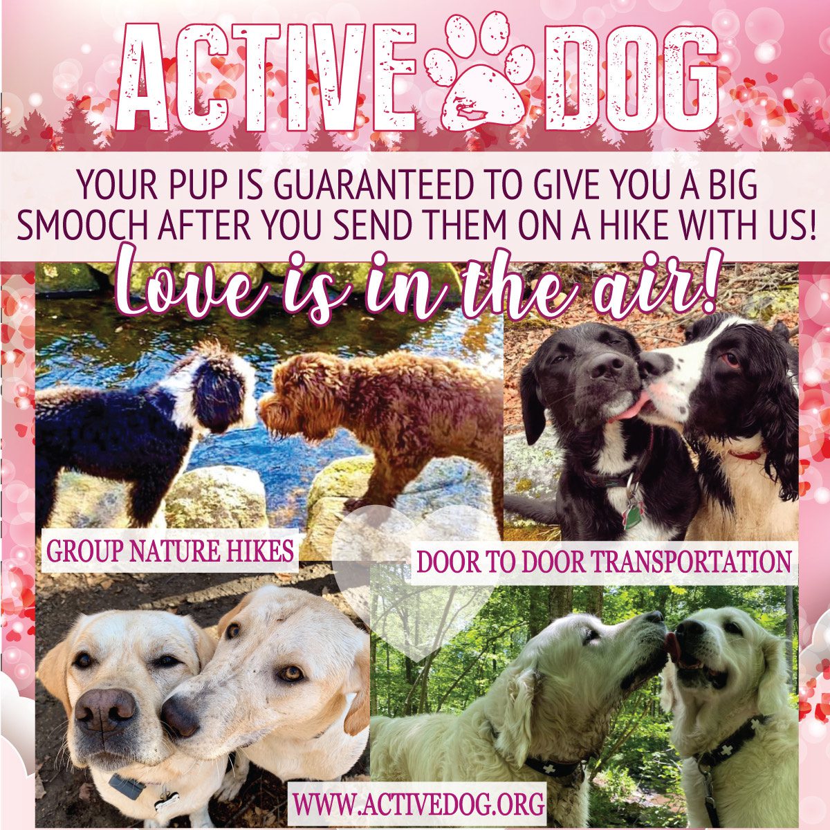 This Valentines Day, speak your dog’s love language by giving them what they truly love!