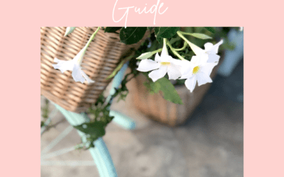 Spring Break Fun Guide!