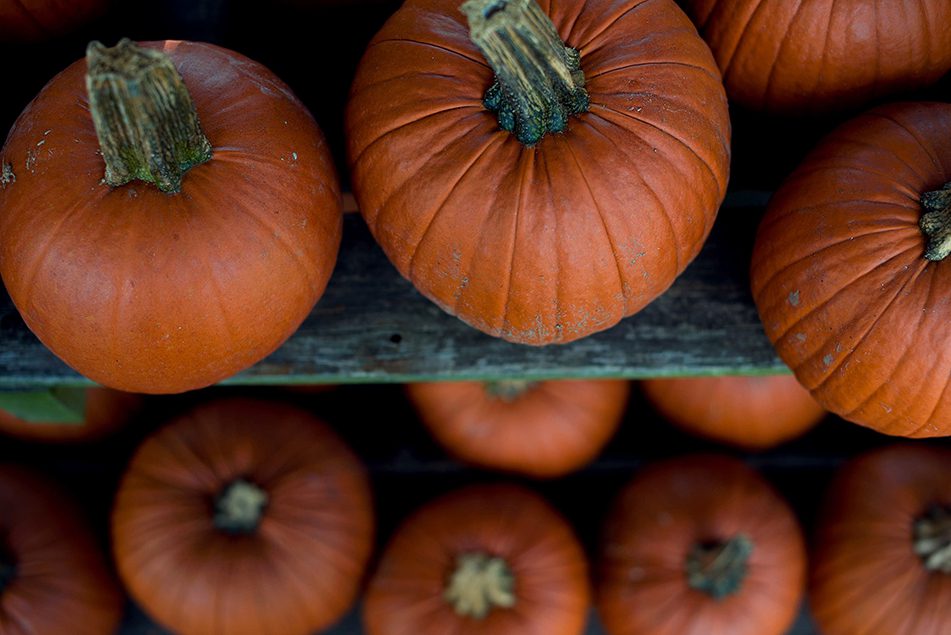 3 Reasons to Save Your Pumpkin Seeds