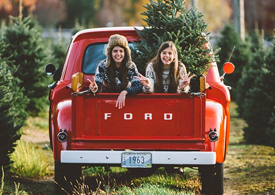 Christmas Tree Roundup: Where to Pick & Cut Your Trees + an Interview (& Reader Discount) with Kennedy’s Country Gardens
