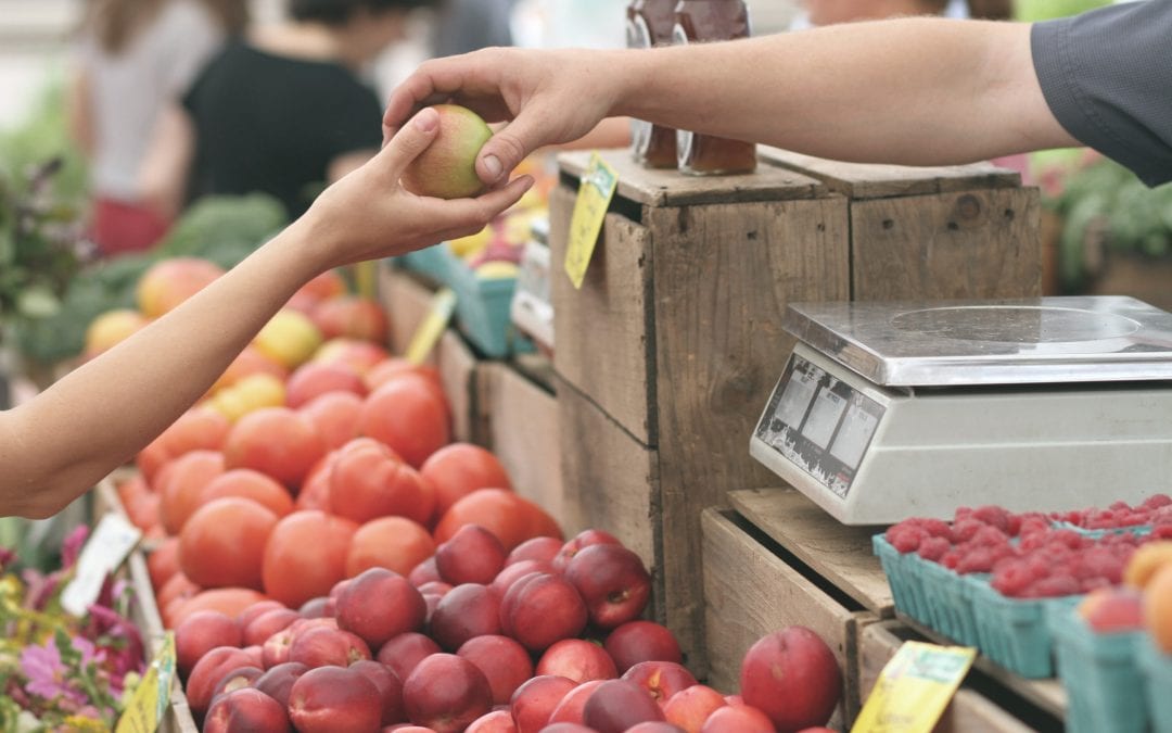 Fall Guide 2025: Apple Picking & Pumpkin Picking