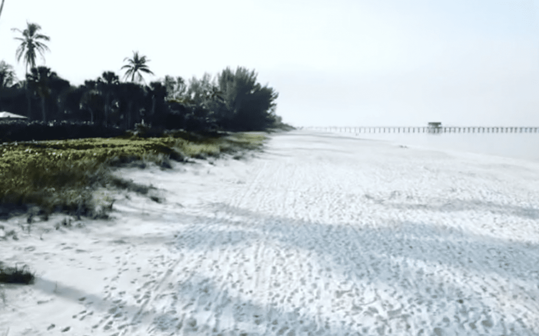 Spring Break Guide: Naples, FL