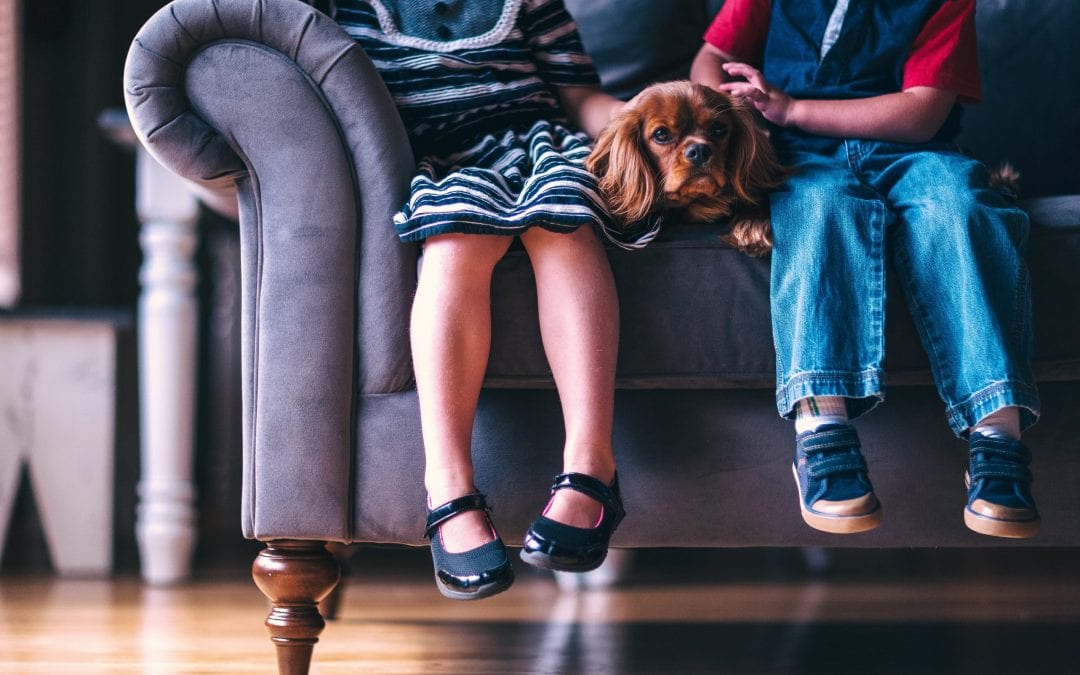 Signs You’re Done Having Kids