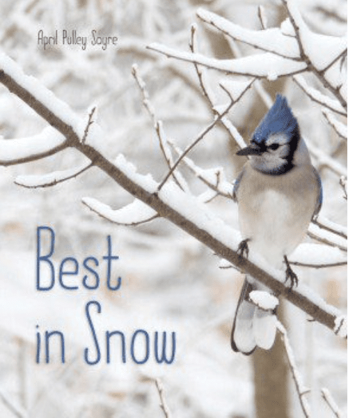 Winter Books for Kids