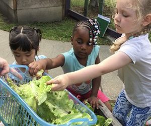 Stepping Stones: Farmers & Friends Family Picnic