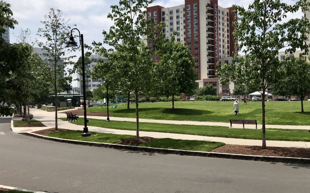 Stamford Park Tour: Commons Park