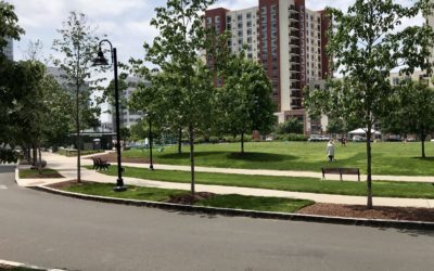 Stamford Park Tour: Commons Park