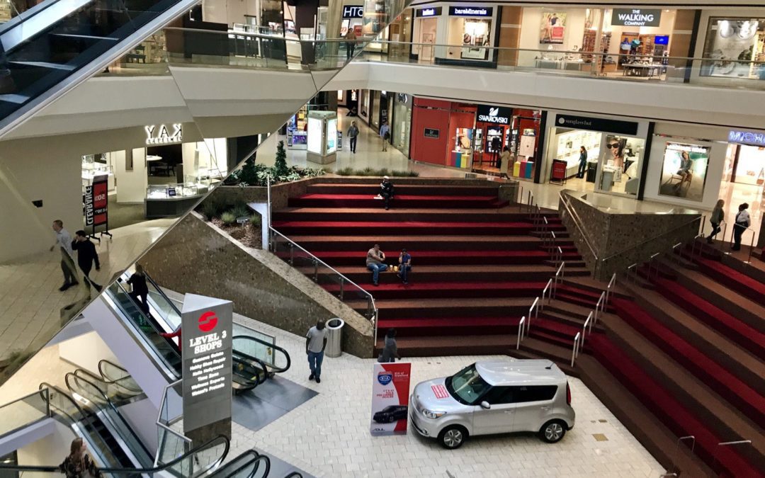 What To Buy During CT Tax Free Week!