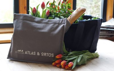 Plastic Bag Ban Takes Effect May 3!