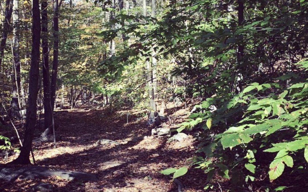 5 Great Trails For A Family Hike!
