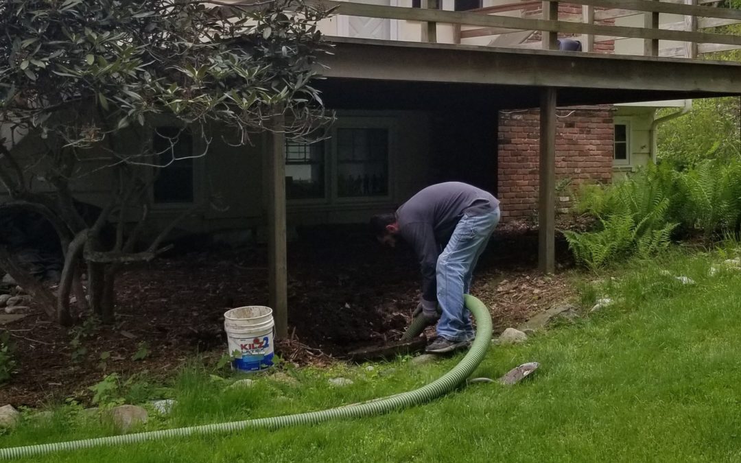 Tackle Plumbing Problems with Al Dexter Septic & Drainage