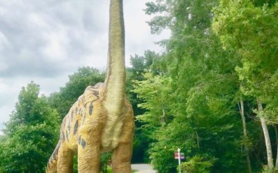 Camp by MaMa: 10 Road Trips To Take This Summer!