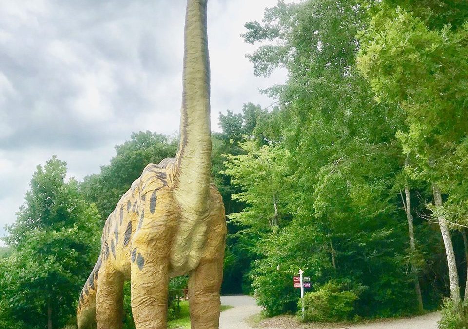 Camp by MaMa: 10 Road Trips To Take This Summer!