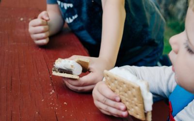 Celebrate National S’Mores Day!