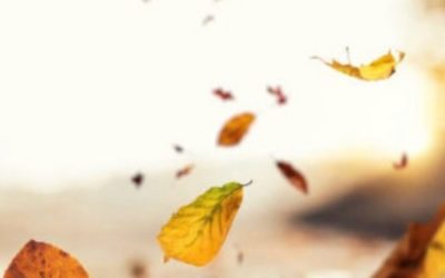 3 Reasons Your Gutters Won’t Make It Through The Fall