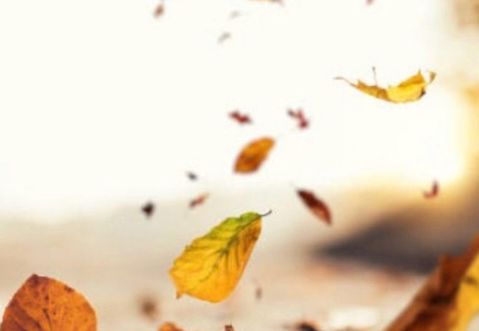 3 Reasons Your Gutters Won’t Make It Through The Fall