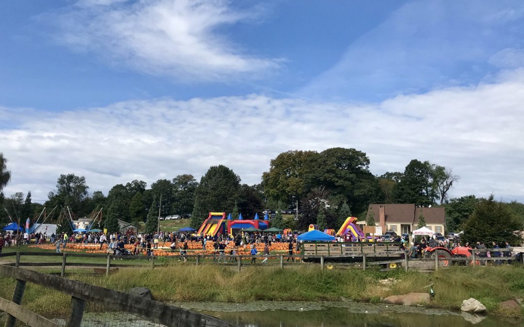 A Guide to Local Fall Festivals!