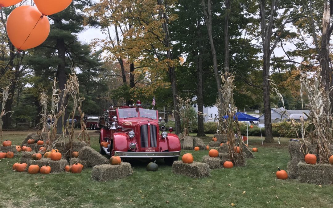 Fun Pumpkin Patches In Our Area!
