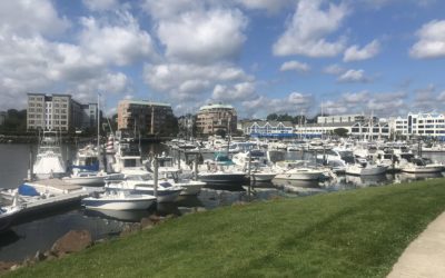 Get to the (Harbor) Point: Exploring Stamford’s Crown Jewel on the Sound!