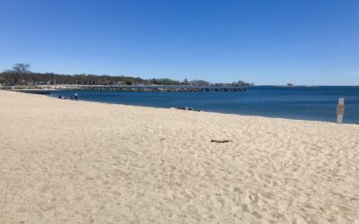 How To Get Your Stamford Beach Sticker!