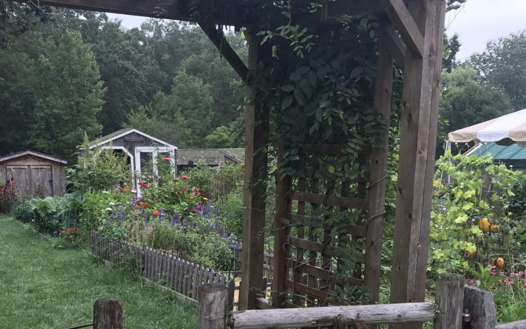 Outdoor Activities Open For Families