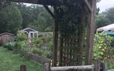Outdoor Activities Open For Families