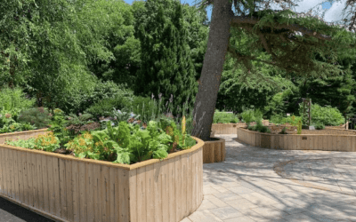 Tour The Sensory Garden At The Bartlett Arboretum!
